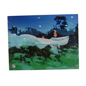8" of Smooth Glass Photo Frame for Sublimation BL31